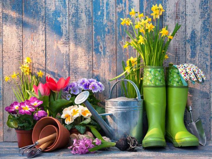 Nous possédons une solide expertise dans la création et l’aménagement de jardins.